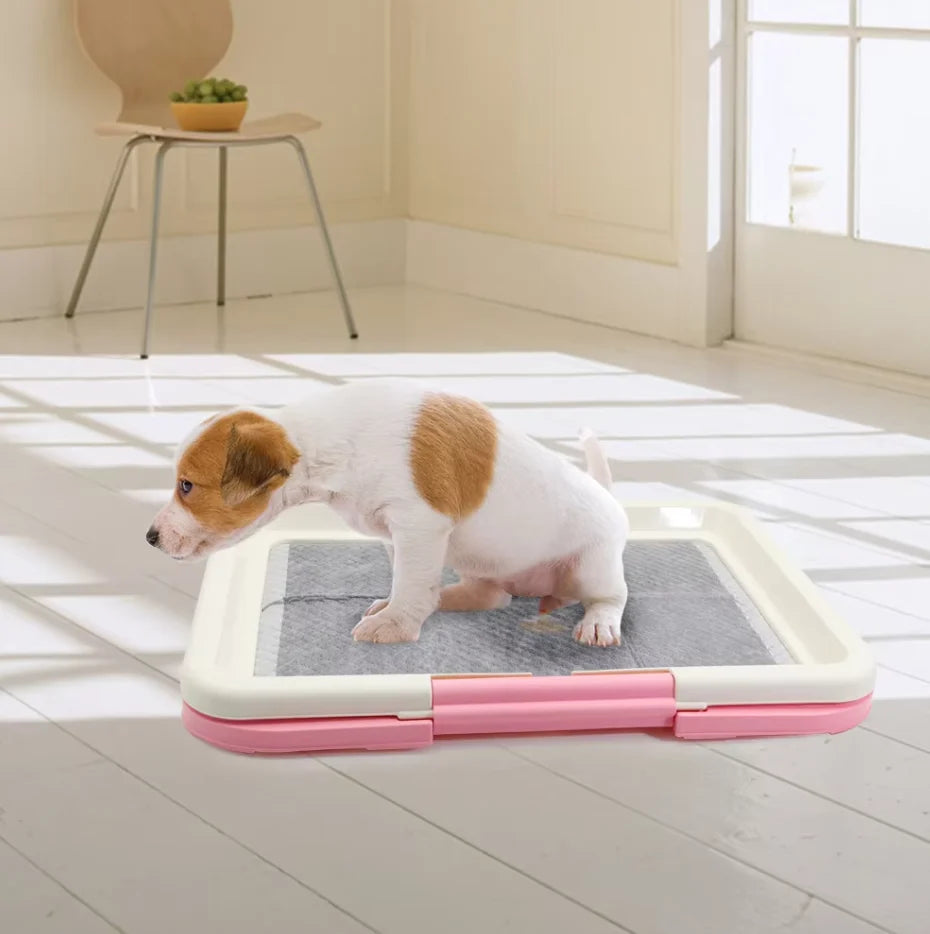 Indoor Dog Toilet Non-Slip Mat & Sturdy Frame