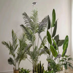 Indoor Plant Grow Light Full-Spectrum LED Adjustable Height With Timer
