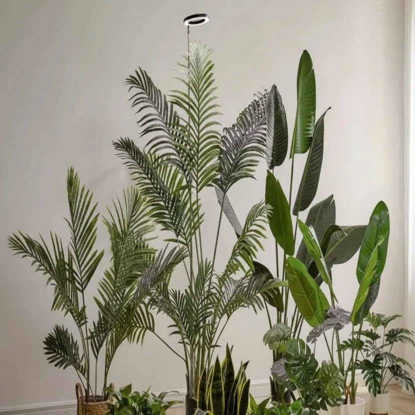 Indoor Plant Grow Light Full-Spectrum LED Adjustable Height With Timer