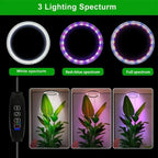 Indoor Plant Grow Light Full-Spectrum LED Adjustable Height With Timer