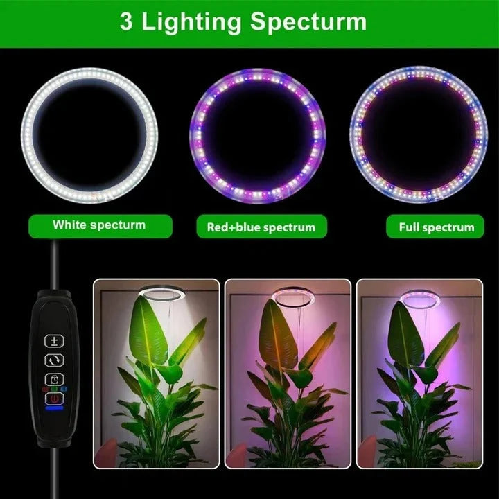 Indoor Plant Grow Light Full-Spectrum LED Adjustable Height With Timer