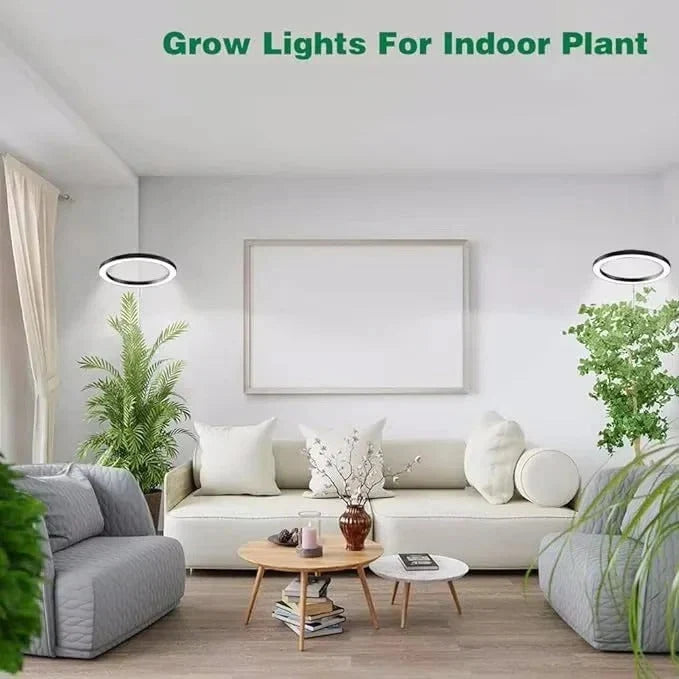 Indoor Plant Grow Light Full-Spectrum LED Adjustable Height With Timer