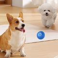 Interactive Dog Ball Motion-Activated Obstacle Detection