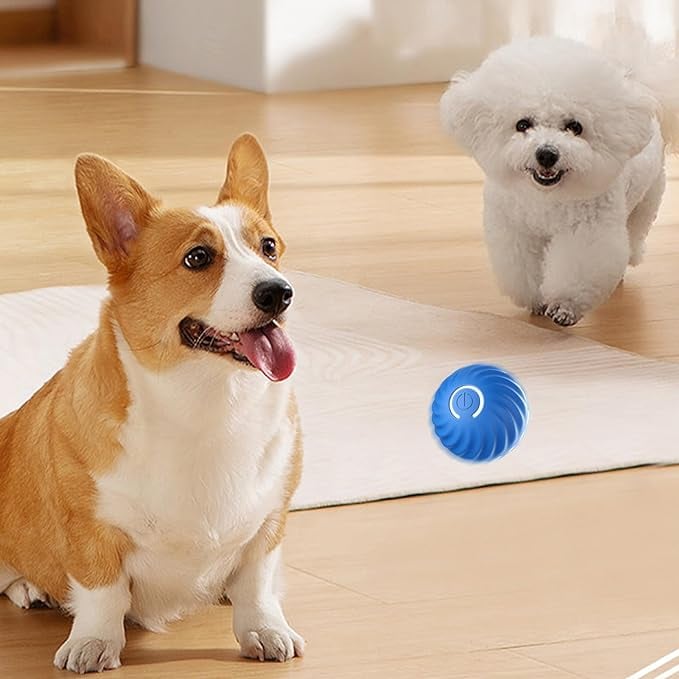 Interactive Dog Ball Motion-Activated Obstacle Detection