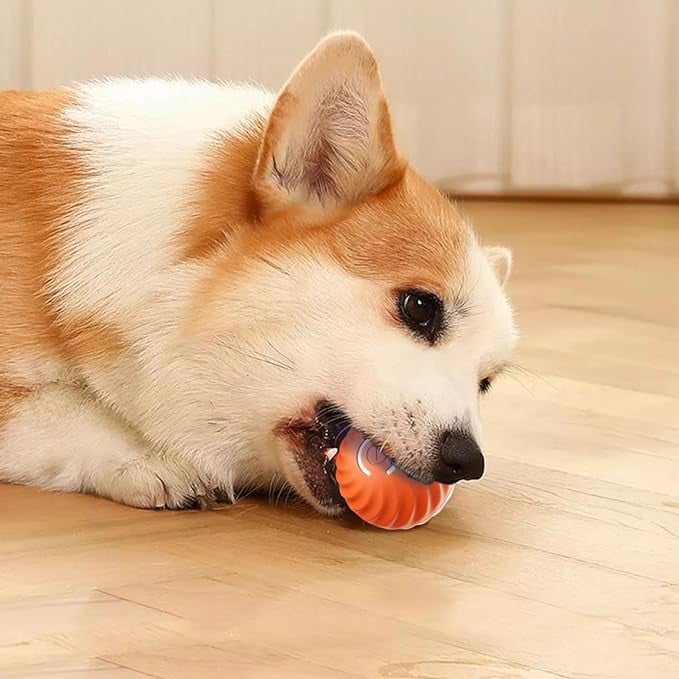 Interactive Dog Ball Motion-Activated Obstacle Detection