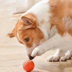 Interactive Dog Ball Motion-Activated Obstacle Detection