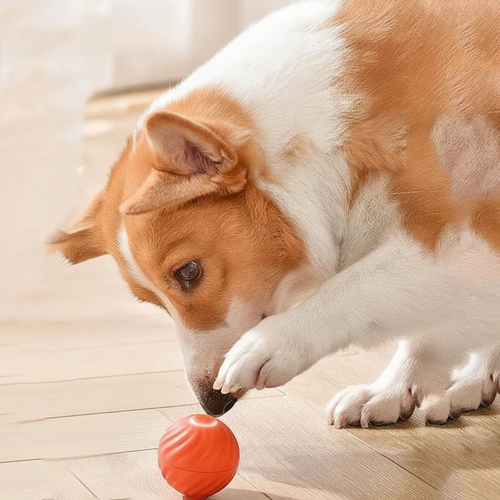 Interactive Dog Ball Motion-Activated Obstacle Detection