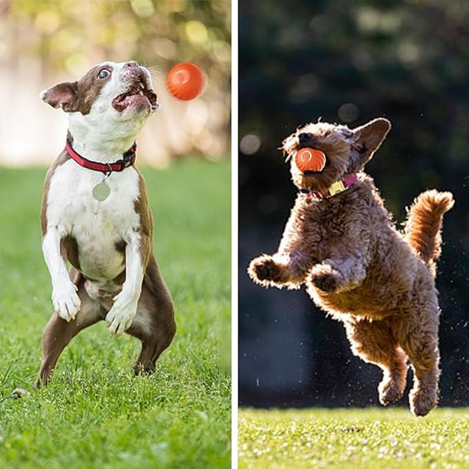 Interactive Dog Ball Motion-Activated Obstacle Detection
