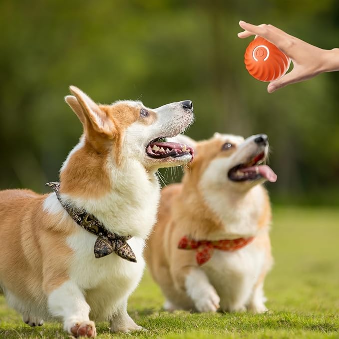 Interactive Dog Ball Motion-Activated Obstacle Detection