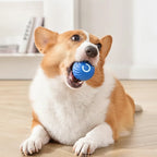 Interactive Dog Ball Motion-Activated Obstacle Detection