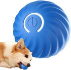 Interactive Dog Ball Motion-Activated Obstacle Detection