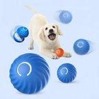 Interactive Dog Ball Motion-Activated Obstacle Detection