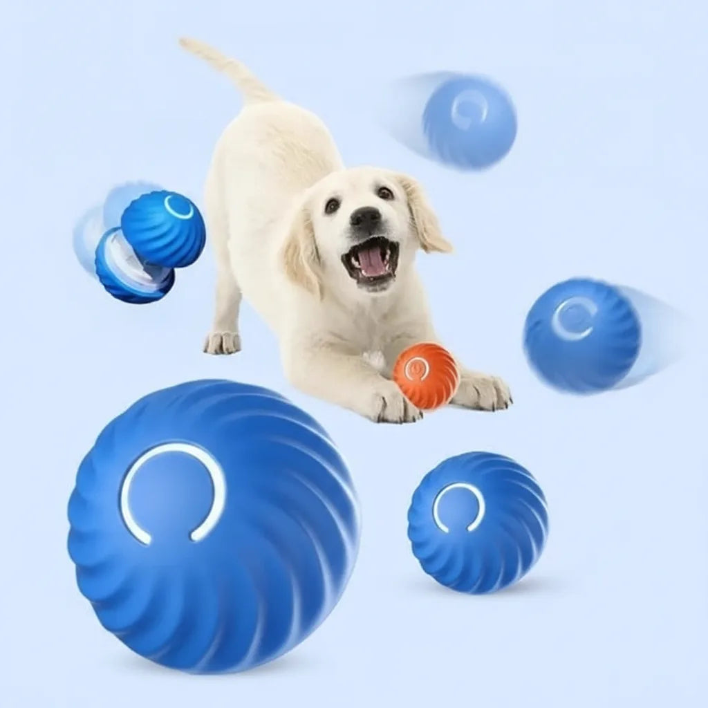 Interactive Dog Ball Motion-Activated Obstacle Detection