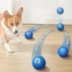 Interactive Dog Ball Motion-Activated Obstacle Detection