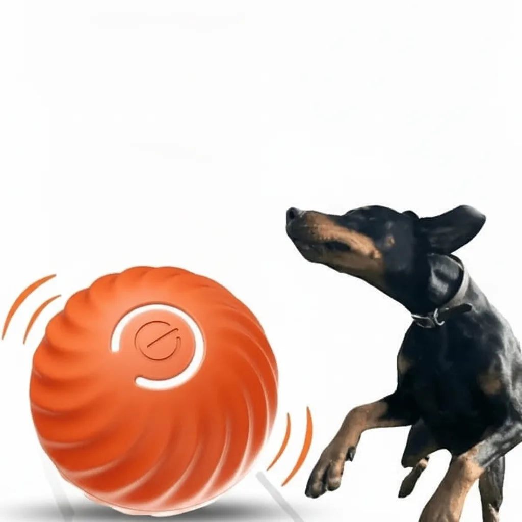 Interactive Dog Ball Motion-Activated Obstacle Detection