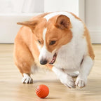 Interactive Dog Ball Motion-Activated Obstacle Detection