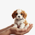 Interactive Plush Dog Toy Touch-Activated Movement & Barking