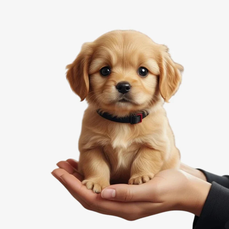 Interactive Plush Dog Toy Touch-Activated Movement & Barking