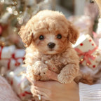 Interactive Plush Puppy Toy Touch-Responsive Motion & Sound