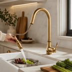 Kitchen Faucet Solid Brass Pull-Out Spray Head Antique Bronze Finish