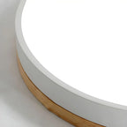 LED Ceiling Light Slim Flush-Mount Three Color Temperatures