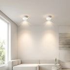 LED Ceiling Light Three Selectable Light Tones