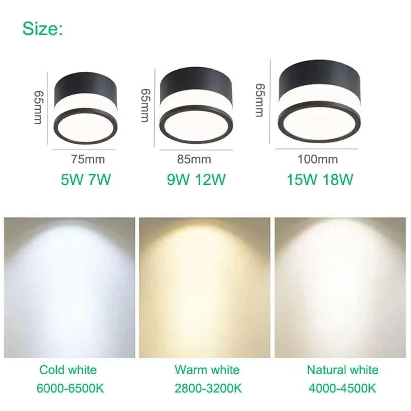 LED Ceiling Light Three Selectable Light Tones