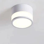 LED Ceiling Light Three Selectable Light Tones