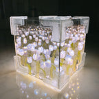 Light Box Infinite Mirror Effect Warm LED