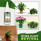 Liquid Plant Fertilizer Concentrated Boosts Blooms 30 mL