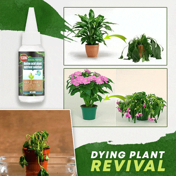 Liquid Plant Fertilizer Concentrated Boosts Blooms 30 mL