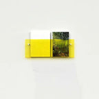 Magazine Holder Wall-Mounted Acrylic Space-Saving Display Shelf