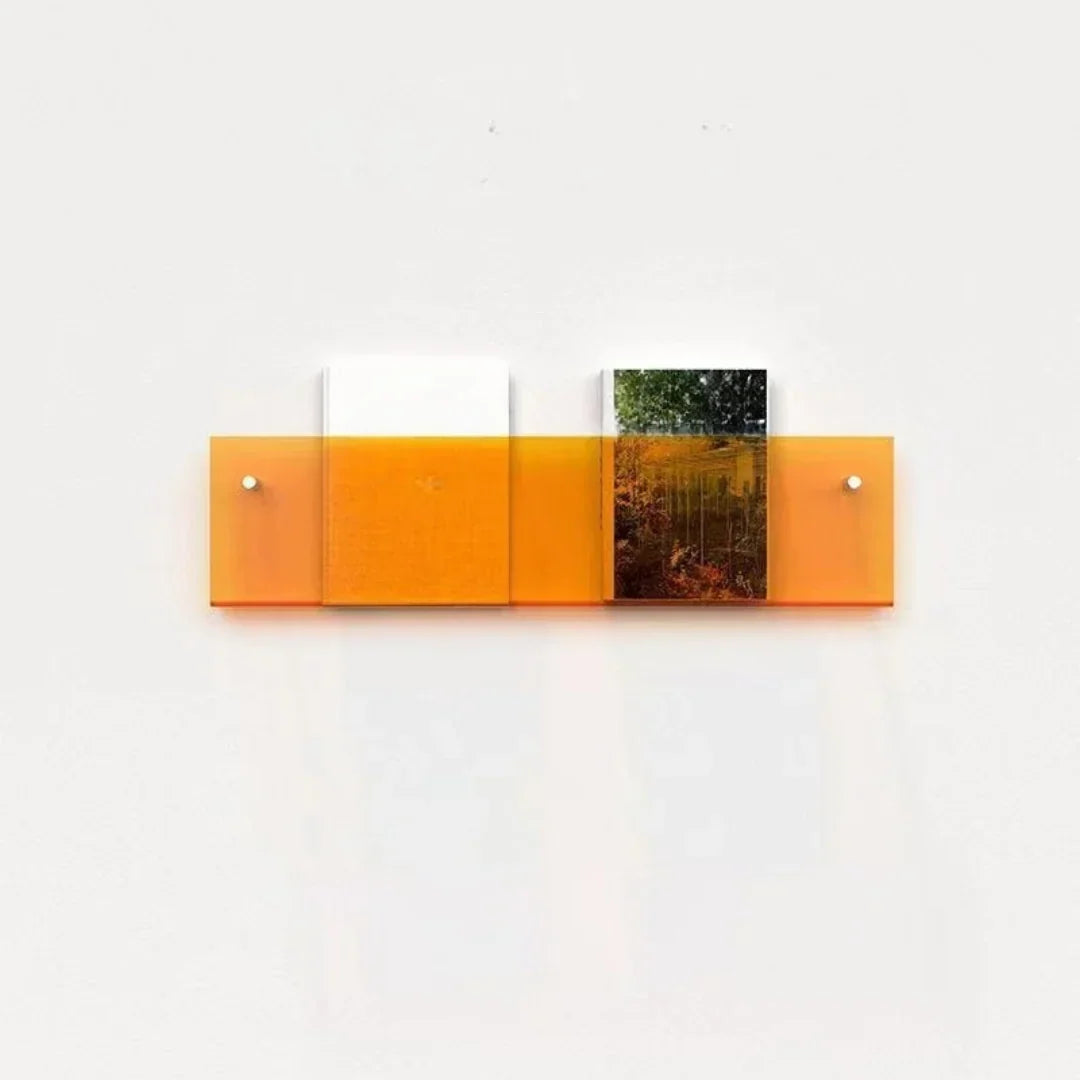 Magazine Holder Wall-Mounted Acrylic Space-Saving Display Shelf