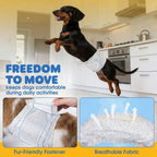 Male Dog Belly Bands Multi-Layer Absorbent Wetness Indicator