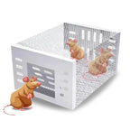 Mouse Trap One-Way Door Galvanized Steel & Extra-Large