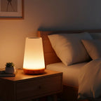 Night Light Portable Dimmable Rechargeable Remote Control