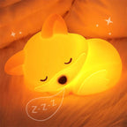 Night Light Rechargeable Silicone Touch Control