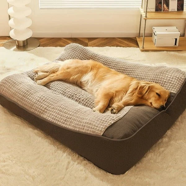 Orthopedic Dog Bed Raised Bolster Removable Washable Cover