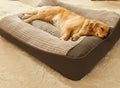 Orthopedic Dog Bed Raised Bolster Removable Washable Cover