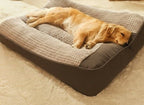 Orthopedic Dog Bed Raised Bolster Removable Washable Cover