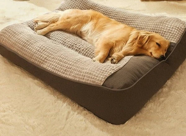 Orthopedic Dog Bed Raised Bolster Removable Washable Cover