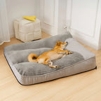 Orthopedic Dog Bed Raised Bolster Removable Washable Cover