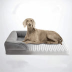 Orthopedic Dog Bed Velvet Cover Machine-Washable Joint Support