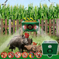 Outdoor Animal Deterrent Solar-Powered Flashing LED 33-Foot Range