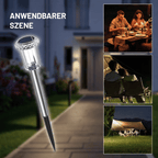 Pathway Light Solar Dusk Sensor Stainless Steel & Acrylic