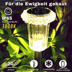 Pathway Light Solar Dusk Sensor Stainless Steel & Acrylic