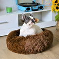 Pet Bed Faux Fur Raised Rim Machine Washable