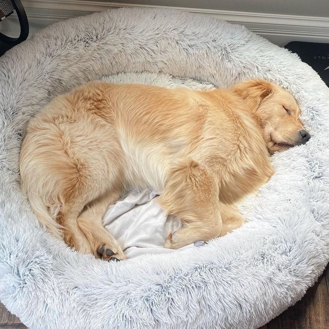 Pet Bed Faux Fur Raised Rim Machine Washable