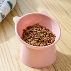 Pet Bowl 45-Degree Tilted Elevated Easy-Clean Surface