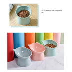 Pet Bowl 45-Degree Tilted Elevated Easy-Clean Surface